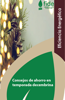 Consejos de ahorro en temporada decembrina