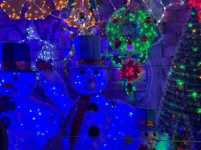 FIDE invita a una Navidad Sustentable 